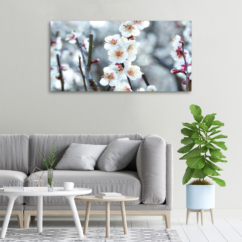 Tableau photo sur toile Fleurs de cerisier