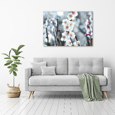 Tableau photo sur toile Fleurs de cerisier