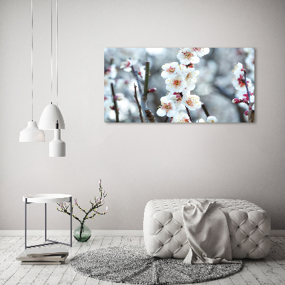 Tableau photo sur toile Fleurs de cerisier