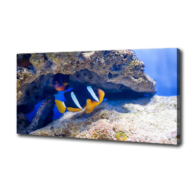 Tableau mural sur toile Poisson tropical