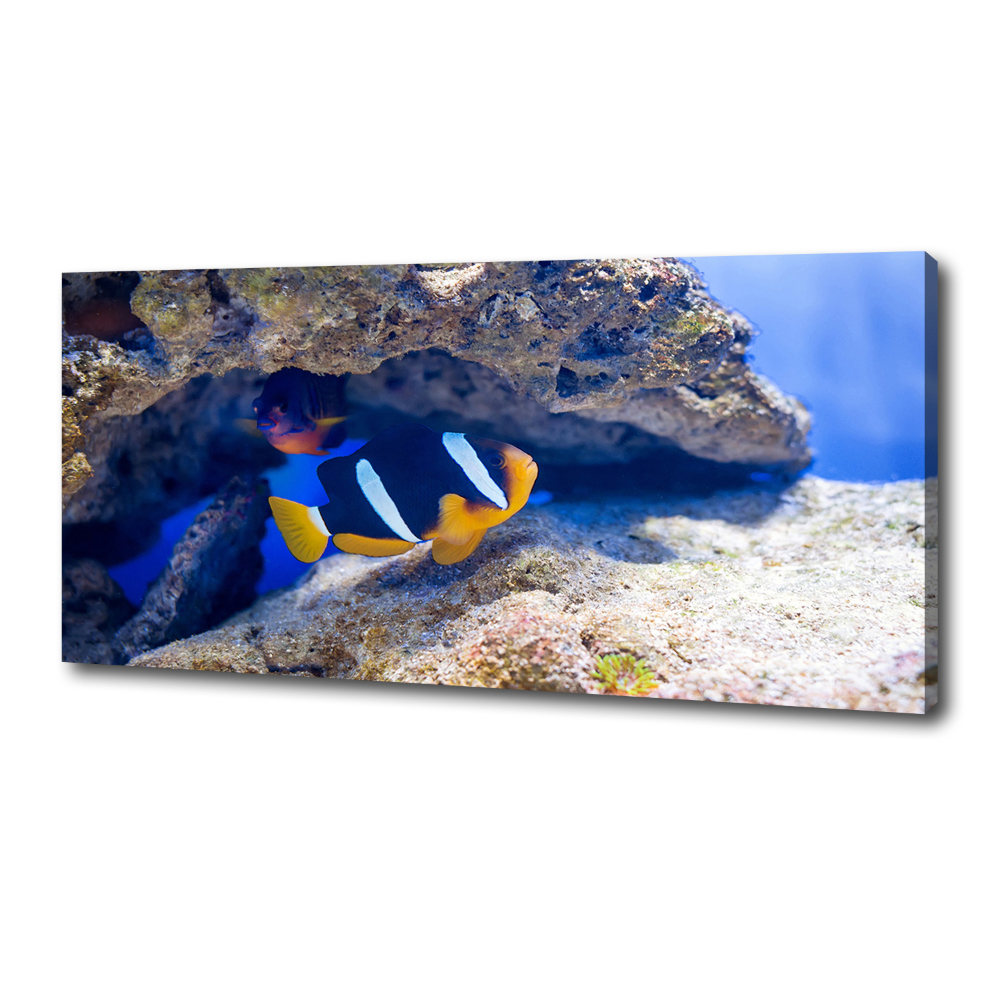 Tableau mural sur toile Poisson tropical