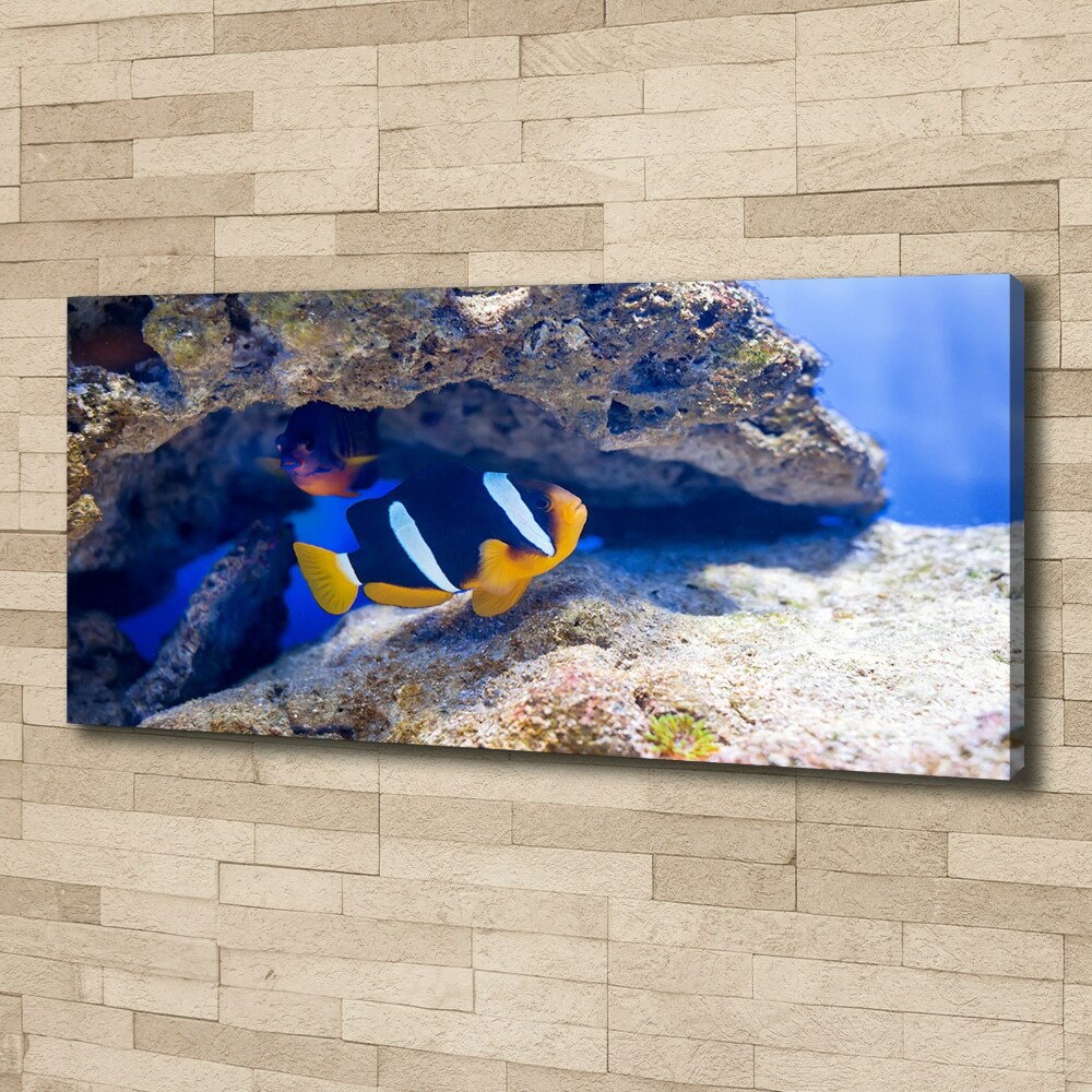 Tableau mural sur toile Poisson tropical