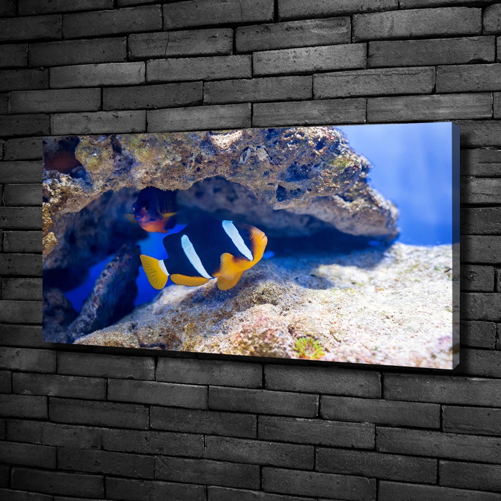 Tableau mural sur toile Poisson tropical