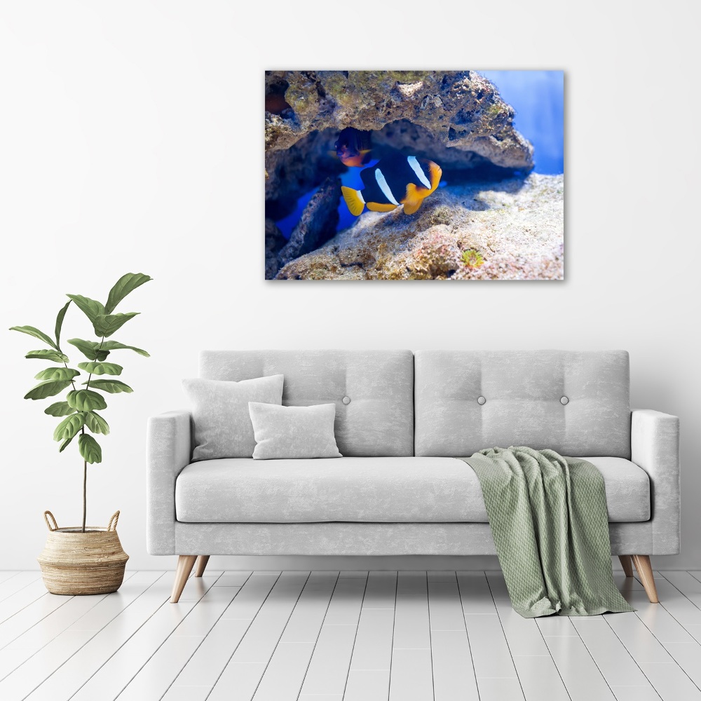 Tableau mural sur toile Poisson tropical