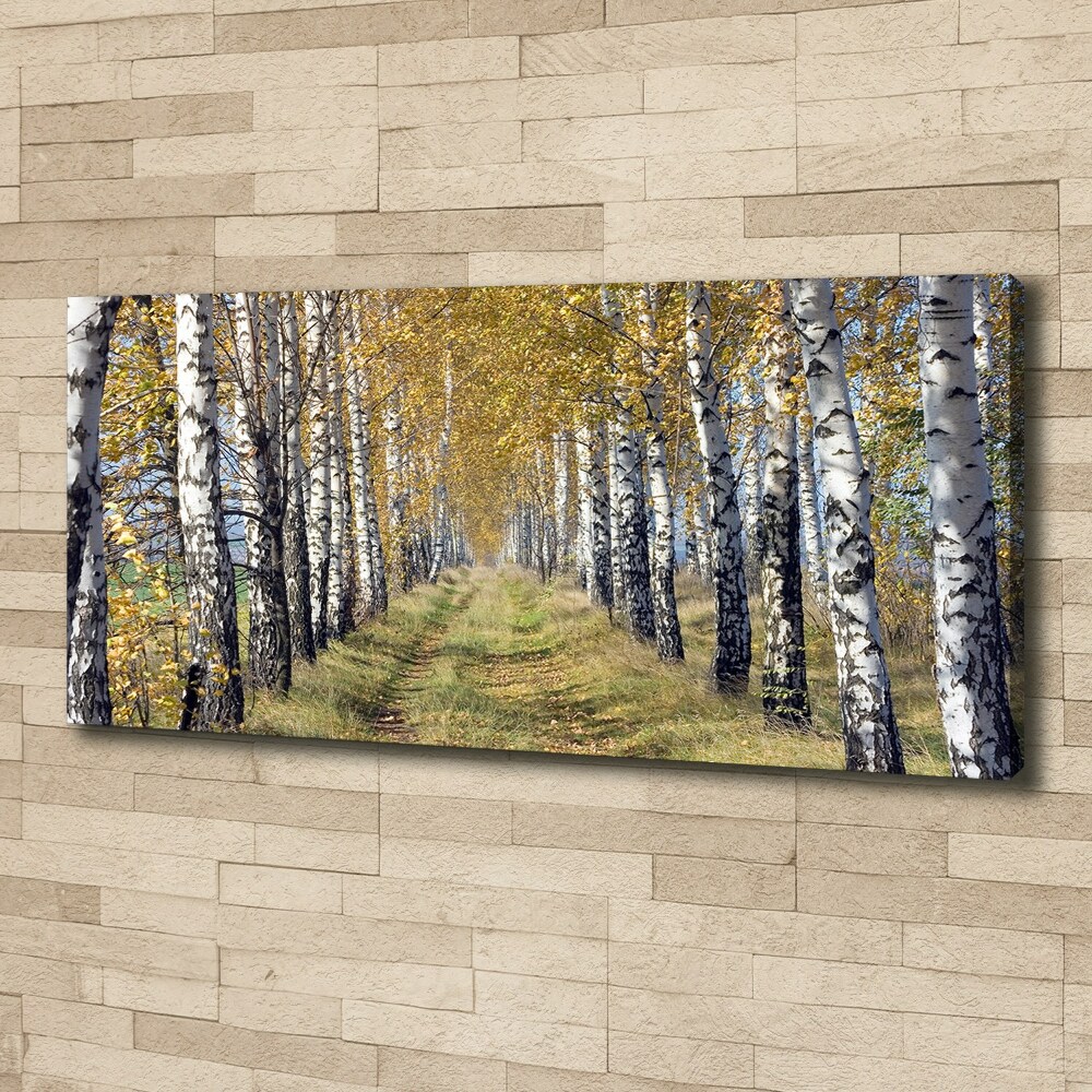 Tableau imprimé sur toile Bouleaux en automne