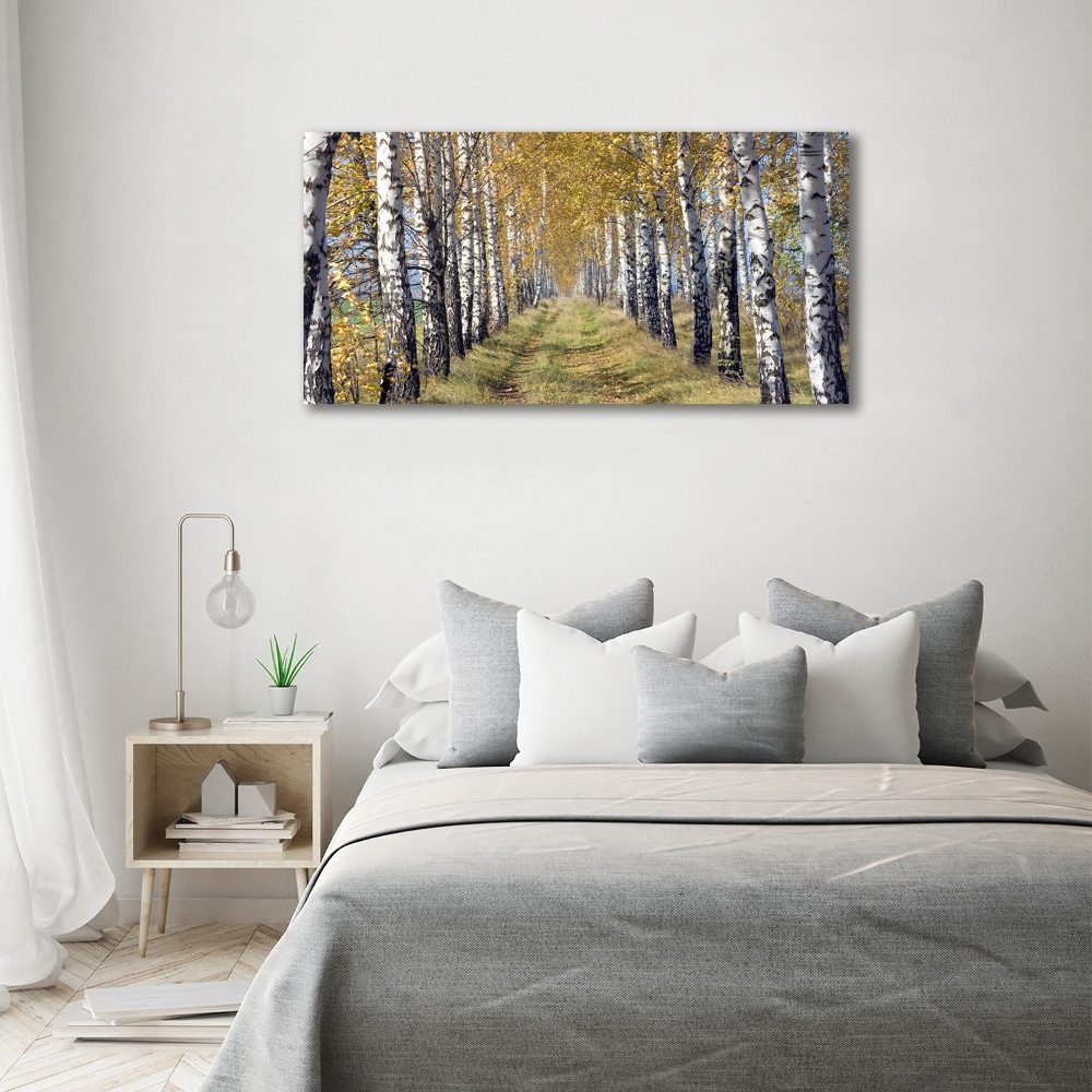 Tableau imprimé sur toile Bouleaux en automne