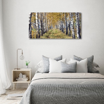 Tableau imprimé sur toile Bouleaux en automne