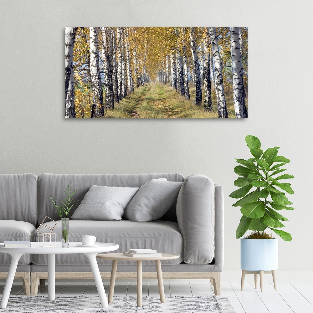 Tableau imprimé sur toile Bouleaux en automne