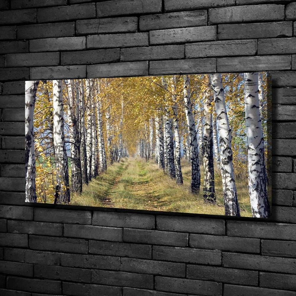 Tableau imprimé sur toile Bouleaux en automne