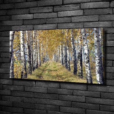 Tableau imprimé sur toile Bouleaux en automne