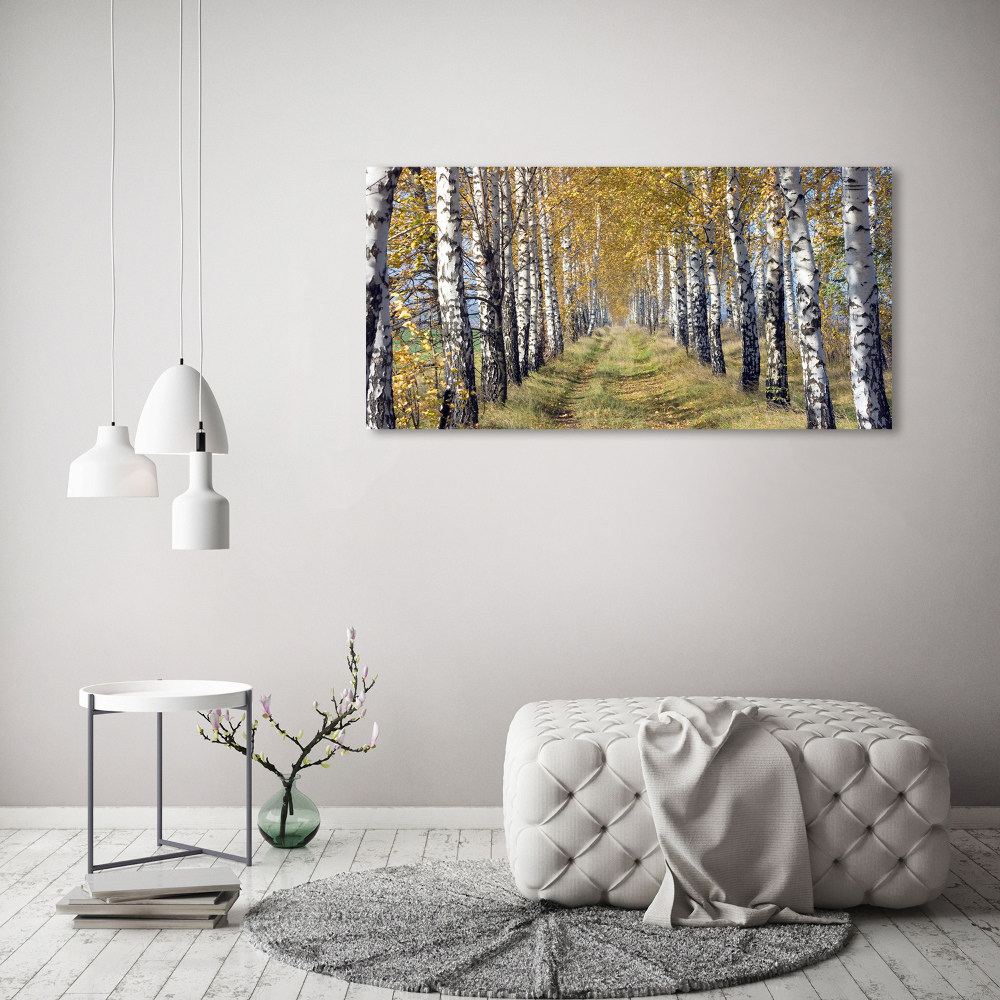 Tableau imprimé sur toile Bouleaux en automne