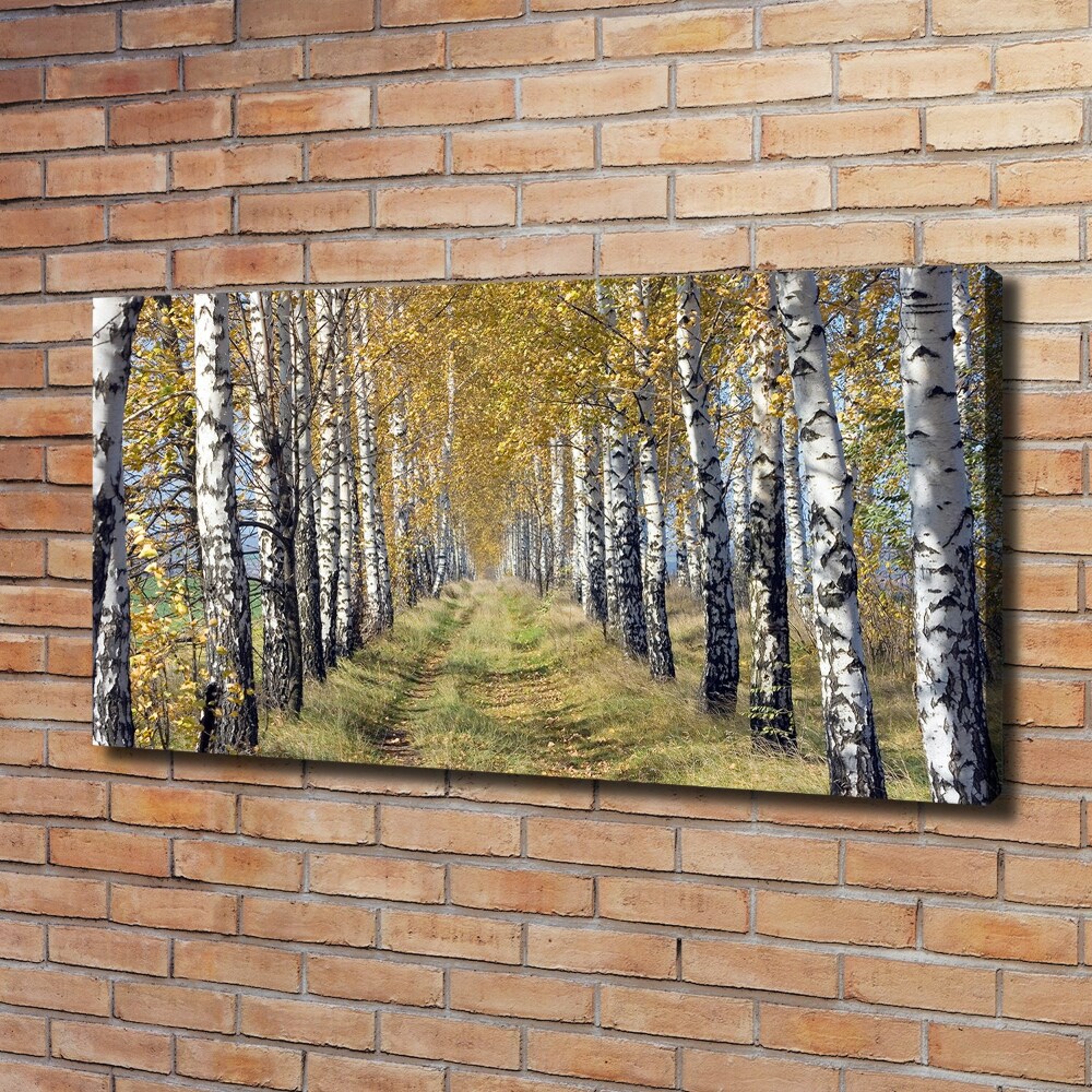 Tableau imprimé sur toile Bouleaux en automne