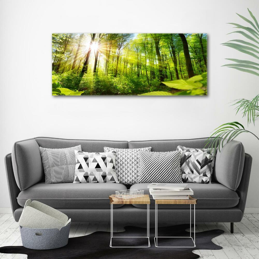 Tableau sur toile La forêt sous le soleil