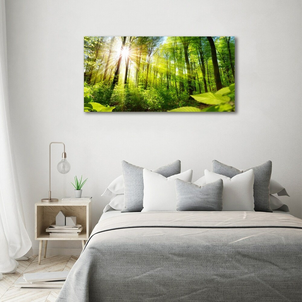 Tableau sur toile La forêt sous le soleil