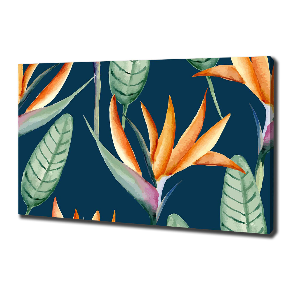 Tableau sur toile Strelitzia royal