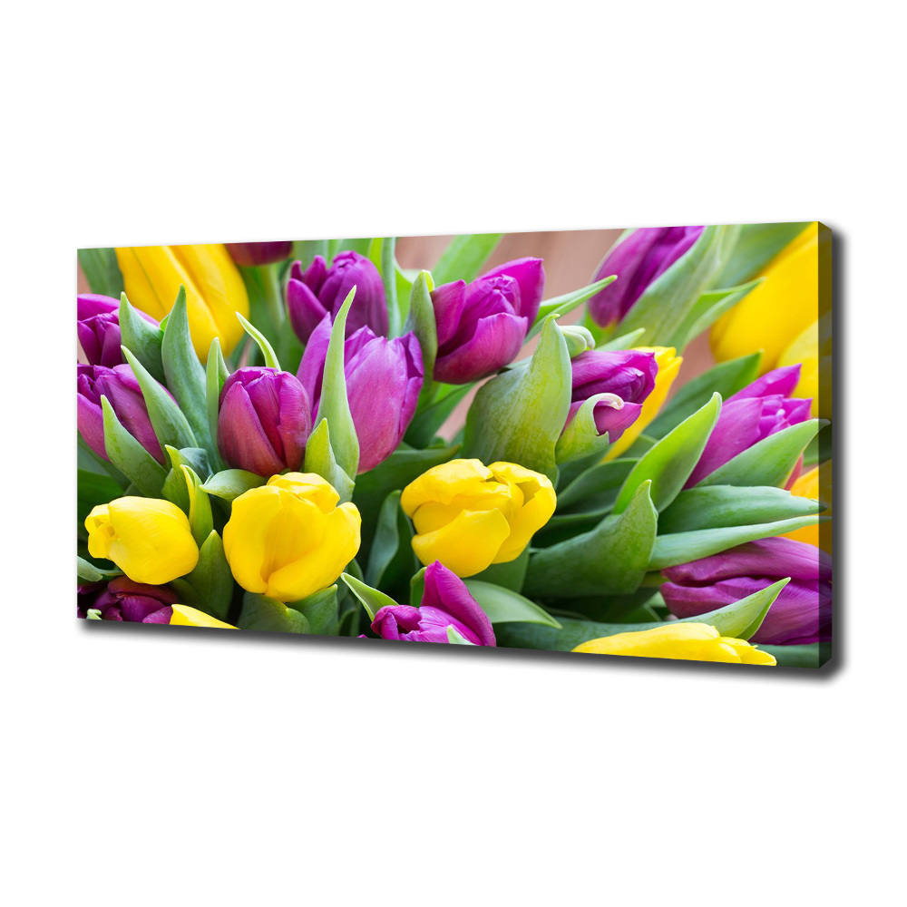 Tableau imprimé sur toile Tulipes colorées