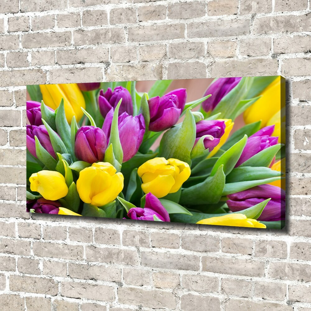 Tableau imprimé sur toile Tulipes colorées