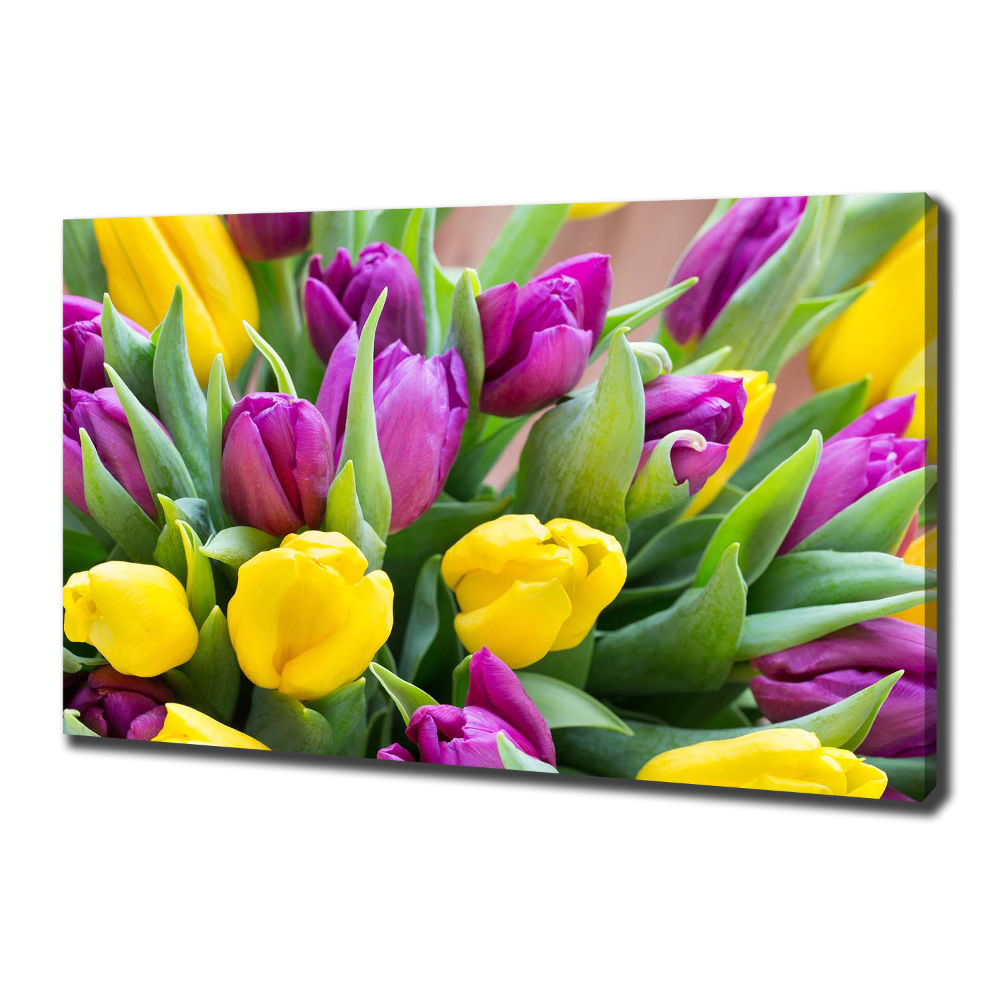 Tableau imprimé sur toile Tulipes colorées