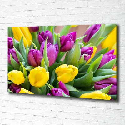 Tableau imprimé sur toile Tulipes colorées