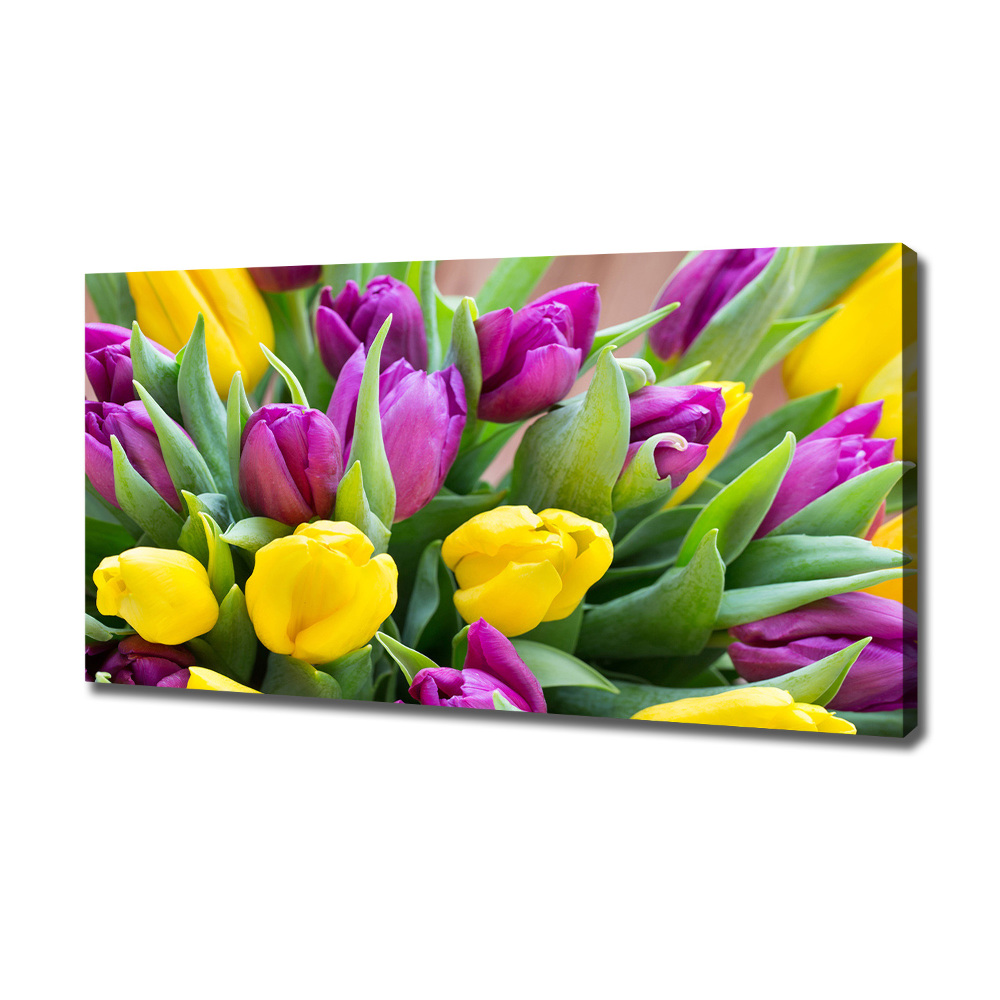 Tableau imprimé sur toile Tulipes colorées