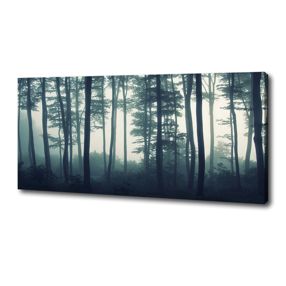 Tableau imprimé sur toile Forêt dans la brume