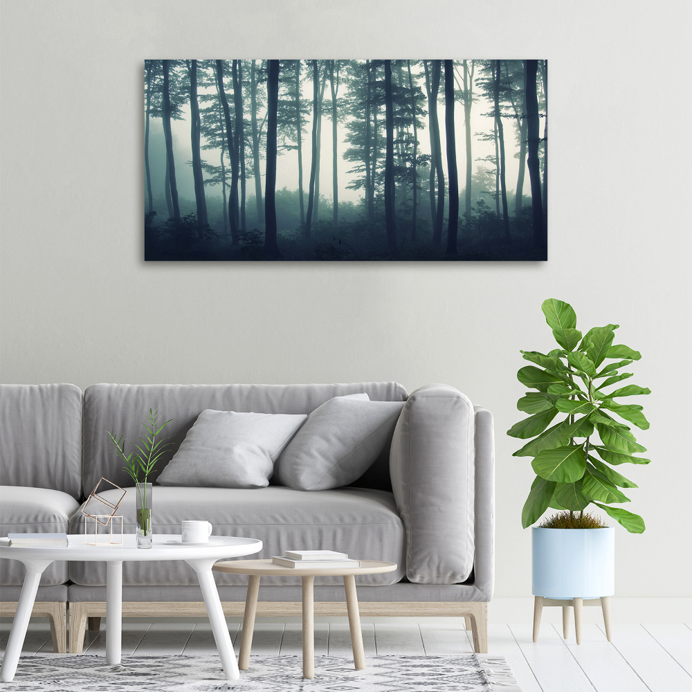 Tableau imprimé sur toile Forêt dans la brume