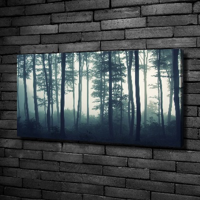 Tableau imprimé sur toile Forêt dans la brume