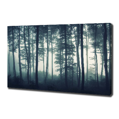 Tableau imprimé sur toile Forêt dans la brume