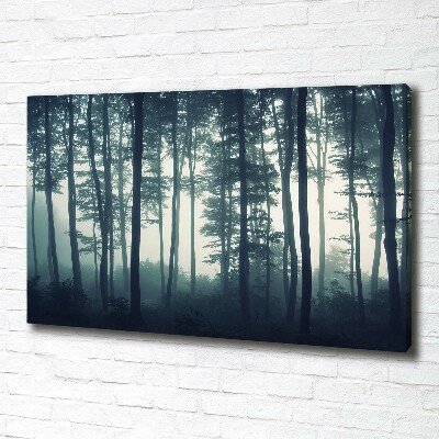 Tableau imprimé sur toile Forêt dans la brume