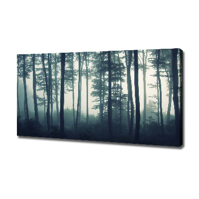 Tableau imprimé sur toile Forêt dans la brume