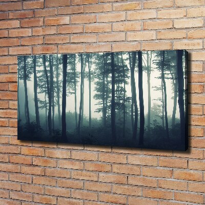 Tableau imprimé sur toile Forêt dans la brume