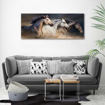 Tableau toile imprimée Chevaux au galop