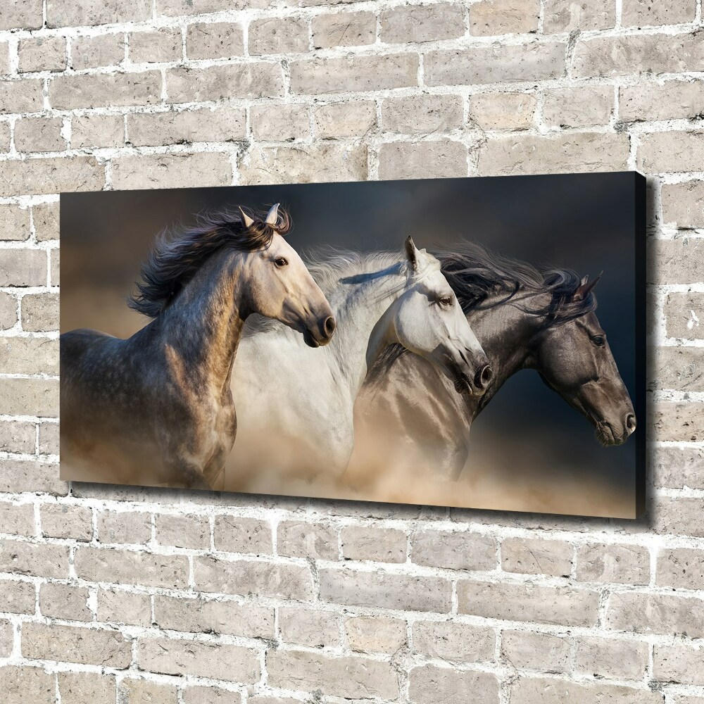 Tableau toile imprimée Chevaux au galop