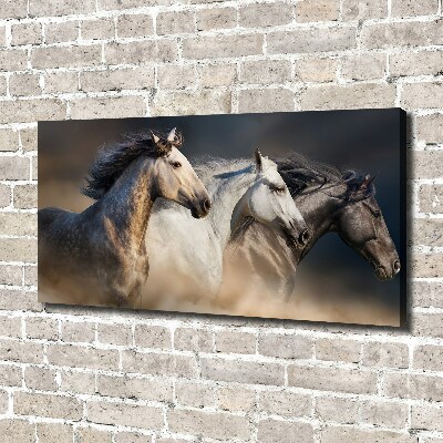 Tableau toile imprimée Chevaux au galop