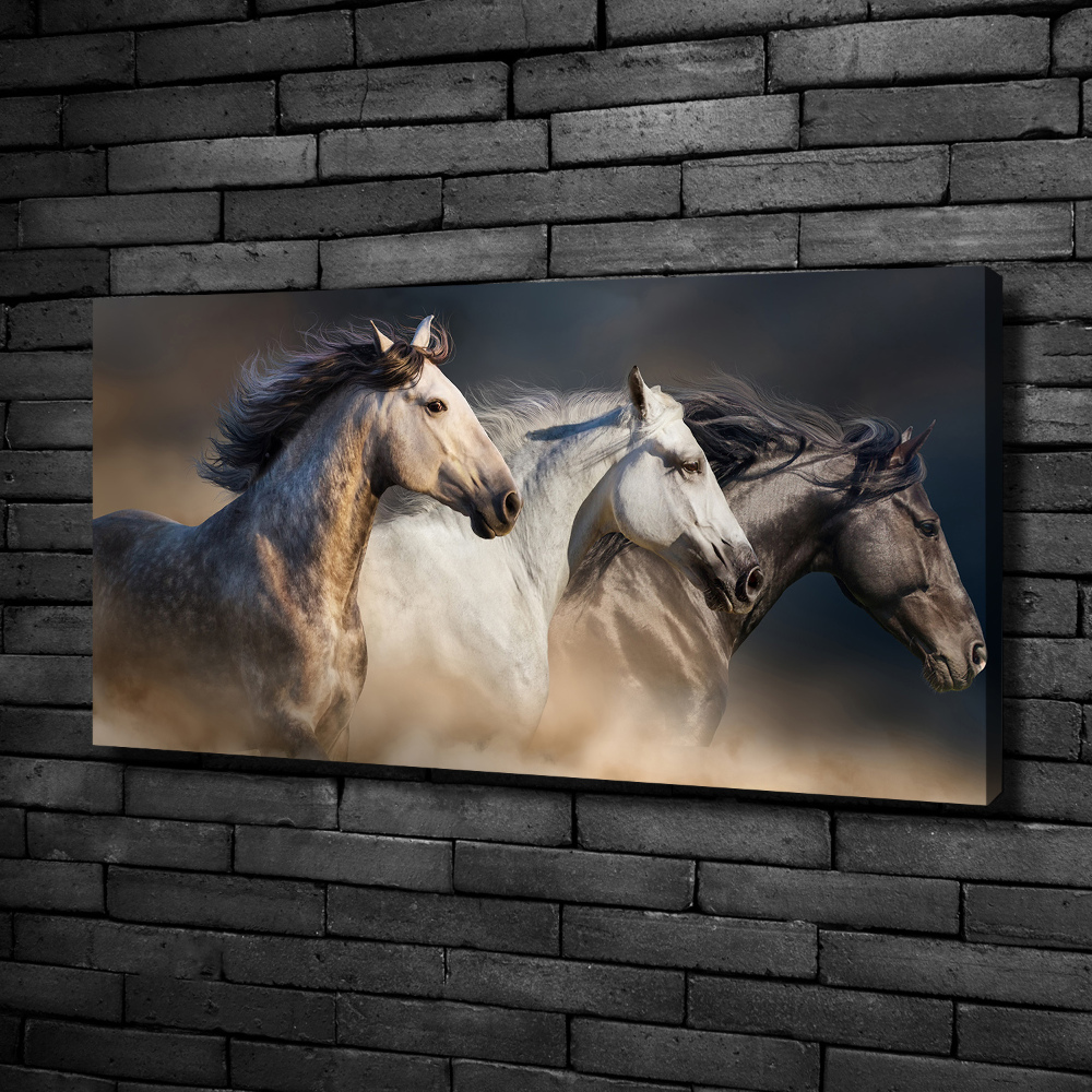 Tableau toile imprimée Chevaux au galop