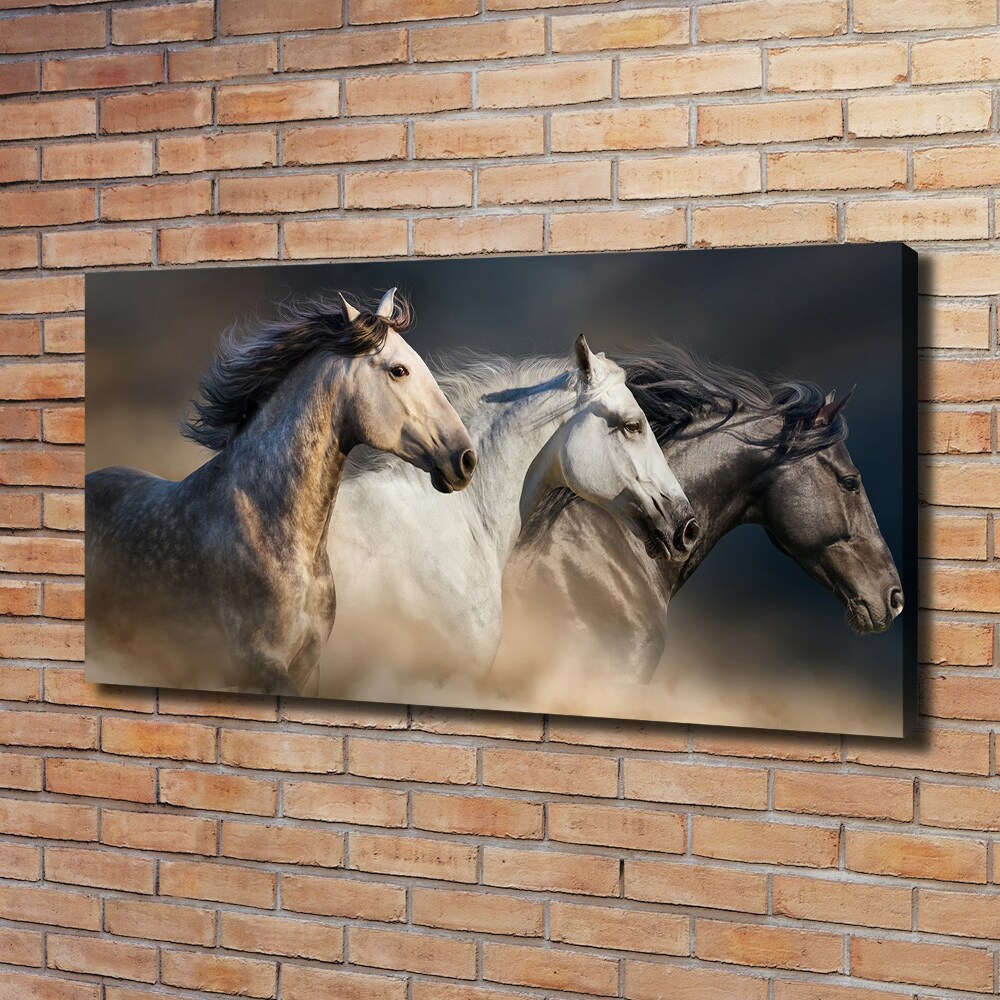 Tableau toile imprimée Chevaux au galop