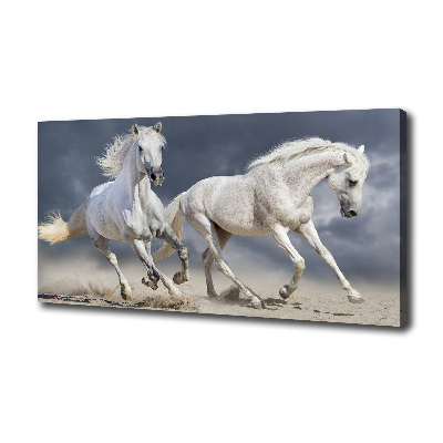 Tableau photo sur toile Plage des chevaux blancs