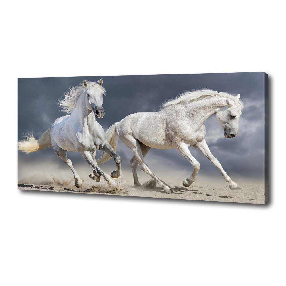 Tableau photo sur toile Plage des chevaux blancs