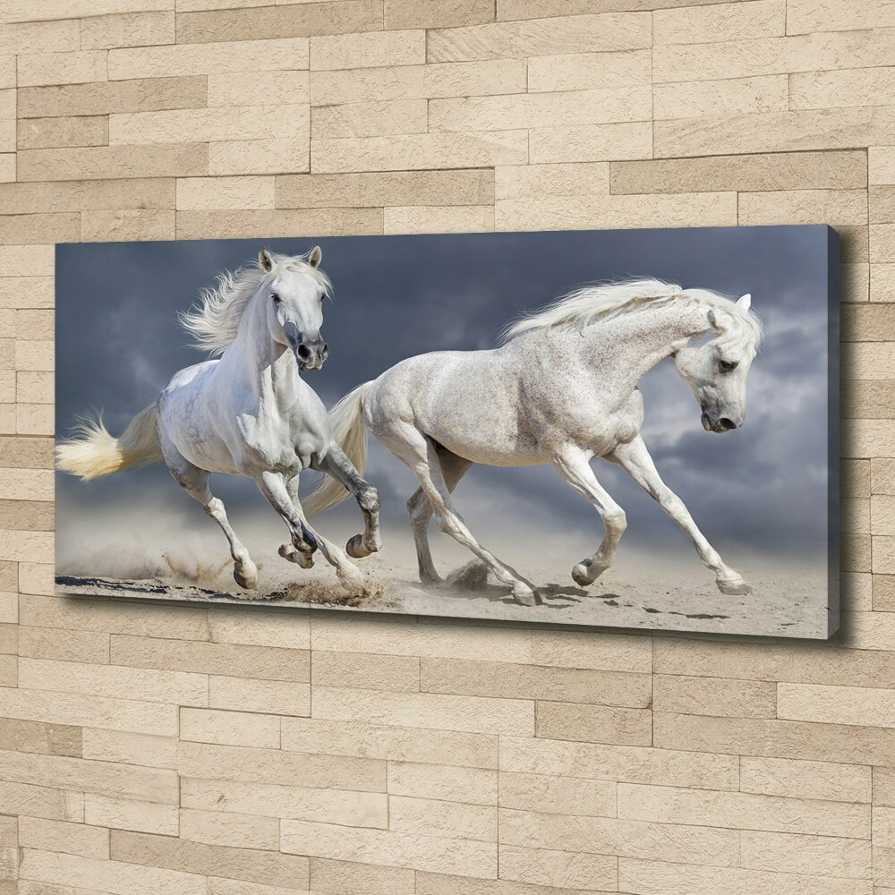 Tableau photo sur toile Plage des chevaux blancs