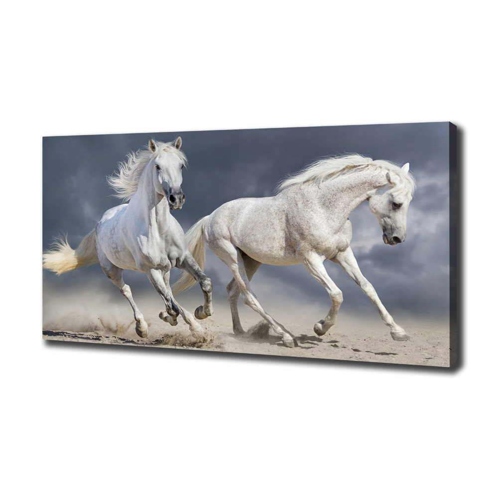 Tableau photo sur toile Plage des chevaux blancs