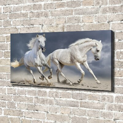 Tableau photo sur toile Plage des chevaux blancs