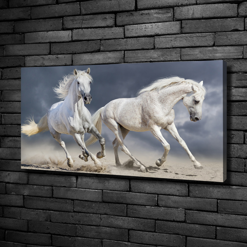 Tableau photo sur toile Plage des chevaux blancs