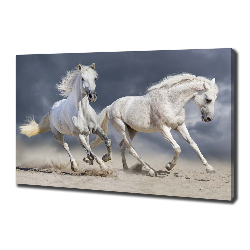 Tableau photo sur toile Plage des chevaux blancs