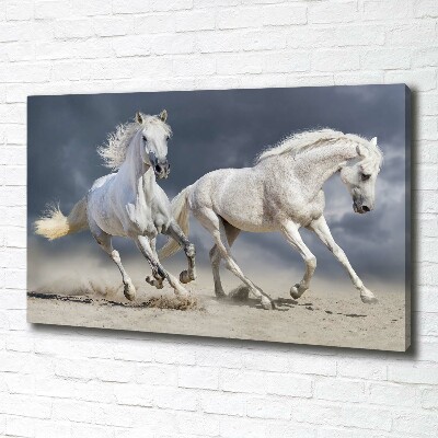 Tableau photo sur toile Plage des chevaux blancs