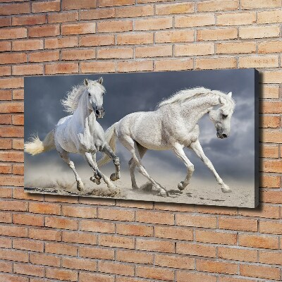 Tableau photo sur toile Plage des chevaux blancs