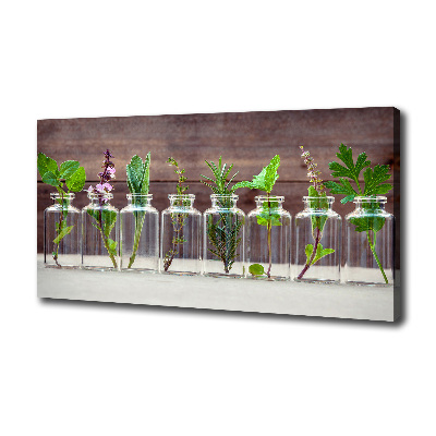 Tableau sur toile Plantes en pots