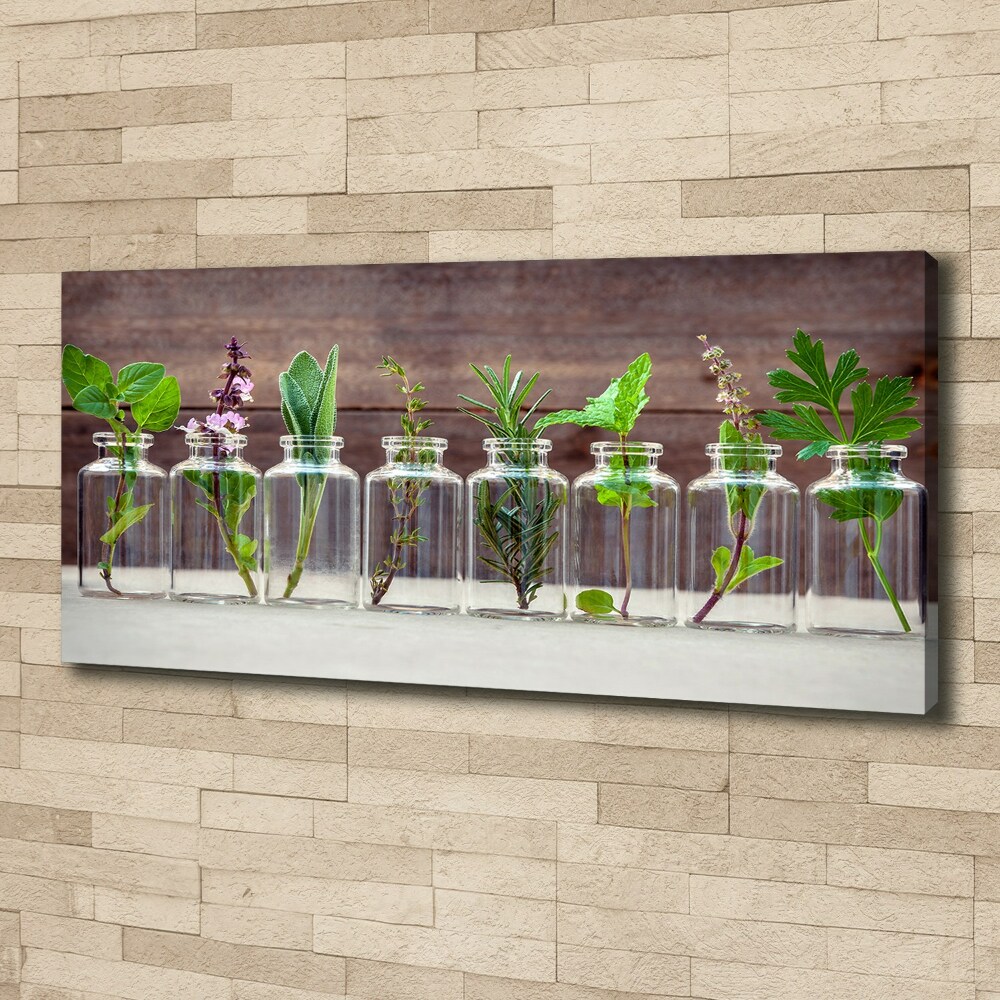 Tableau sur toile Plantes en pots