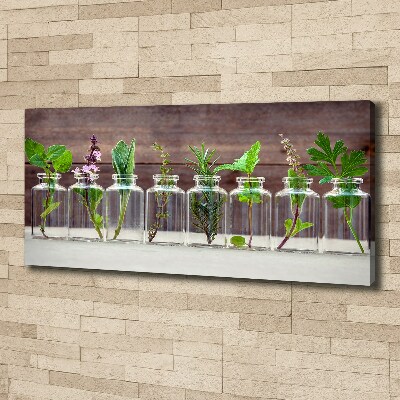 Tableau sur toile Plantes en pots