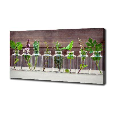 Tableau sur toile Plantes en pots