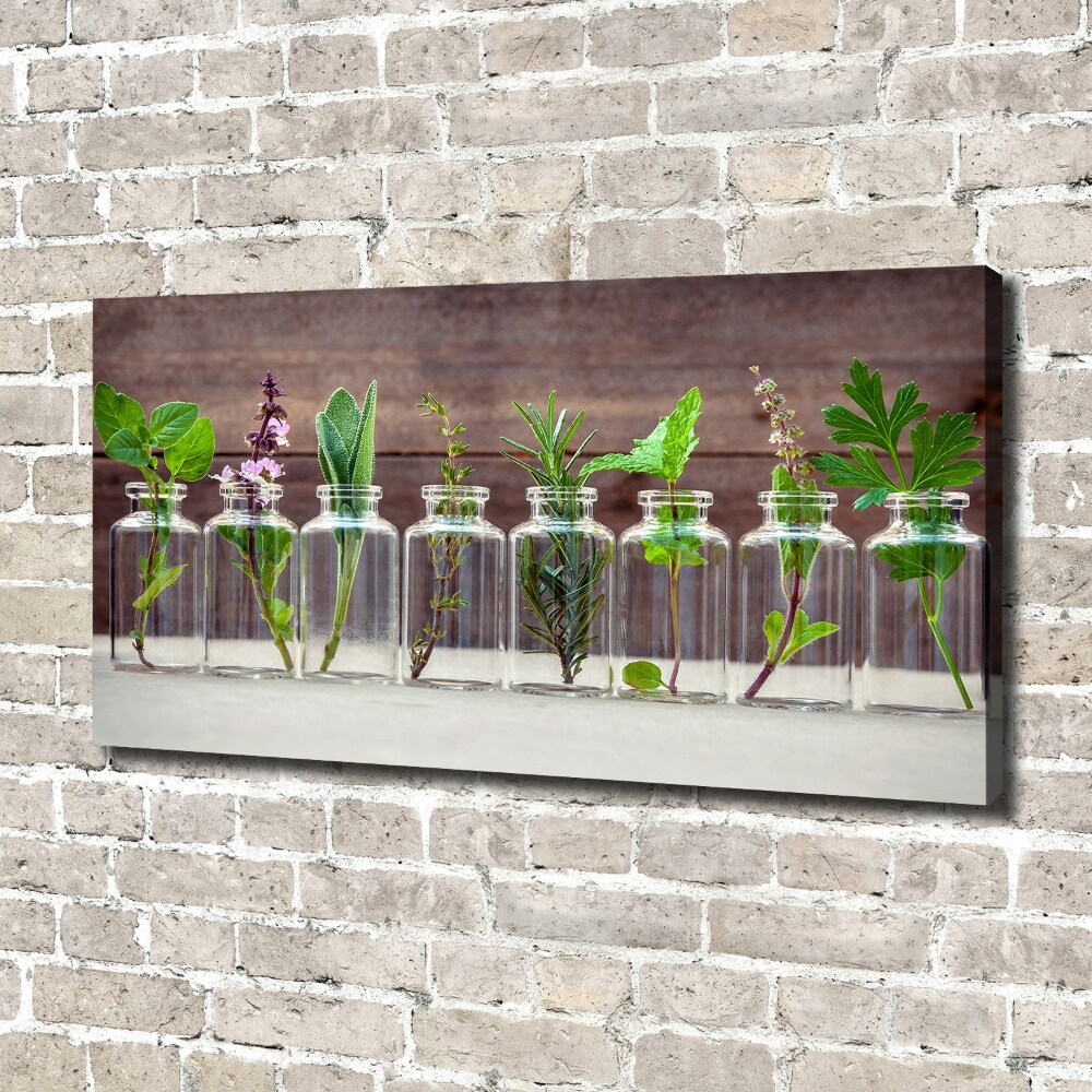 Tableau sur toile Plantes en pots